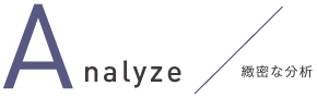 Analyze／緻密な分析